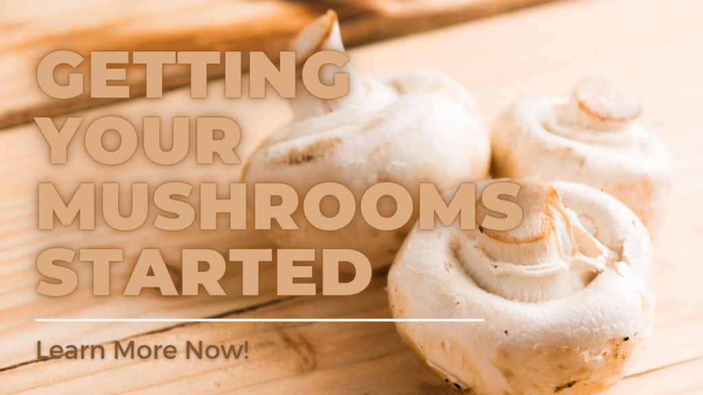 Getting your mushrooms started can be the secret to growing mushrooms