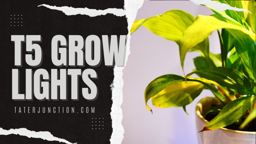 t5 grow light