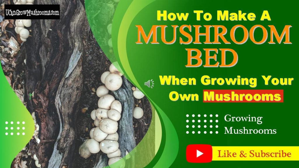 How do you start a mushroom substrate?